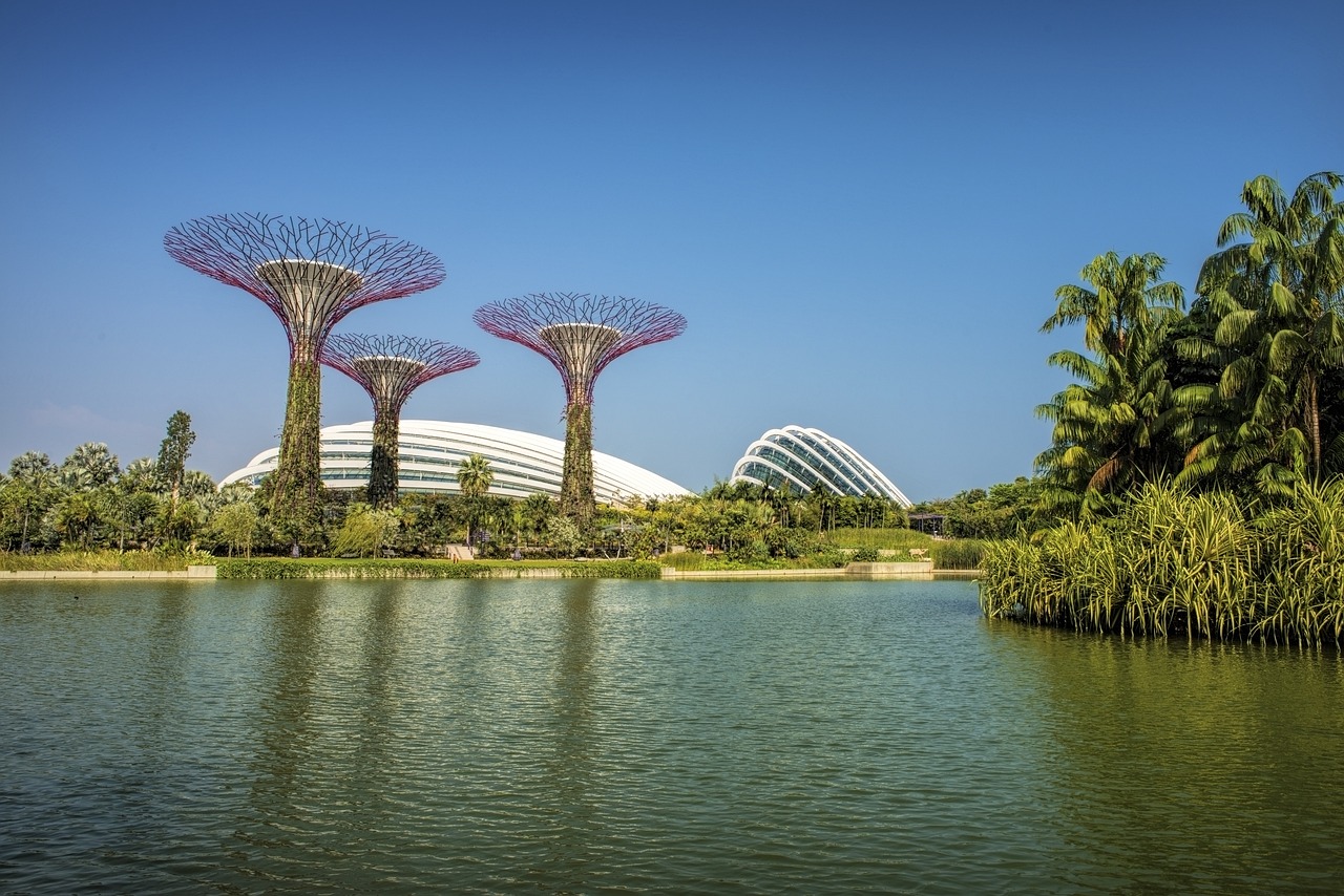 gardens by the bay singapore