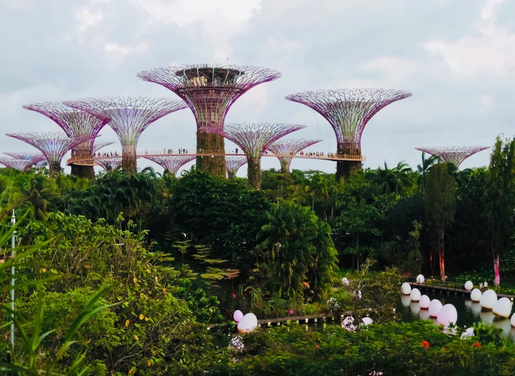 gardens by the bay